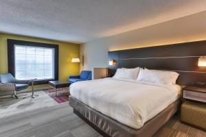King Suite with Sofa Bed - Non-Smoking room in Holiday Inn Express Hotel & Suites Reading an IHG Hotel