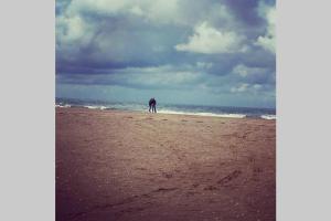 Maisons de vacances Plage et commerces a 50m, sans tele pour deconnecter ! : photos des chambres