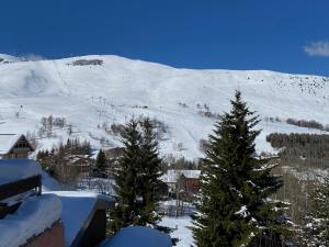 Appartements The Ski Paradise 2 Alpes : photos des chambres