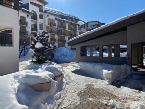 Appartements The Ski Paradise 2 Alpes : photos des chambres