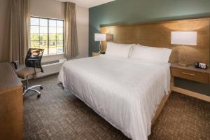 Studio Suite with King Bed - Non-Smoking room in Staybridge Suites - Lake Jackson an IHG Hotel