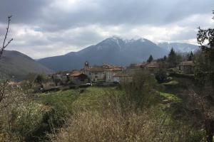 Chalets Faites le plein de nature ! : photos des chambres