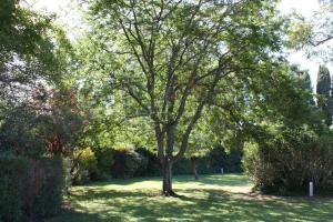 Villas MAS SAINT GEORGES DE L'ORATOIRE : photos des chambres