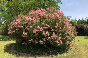 Villas MAS SAINT GEORGES DE L'ORATOIRE : photos des chambres