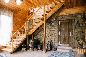 Бойківчанка