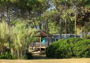Campings Camping San Damiano : photos des chambres
