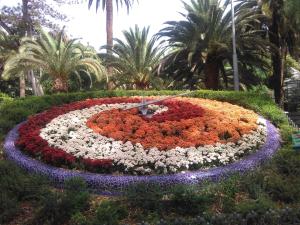 Lalas Ramblas Estudio Santa Cruz Tenerife