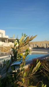 Sea Wind Villas and Suites Myconos Greece