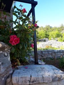 Ferienhaus VILLAGE HOUSE with jacuzzi Zagvozd Kroatien