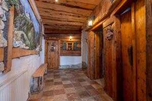 Almhaus Dachsteinblick am Feuerkogel