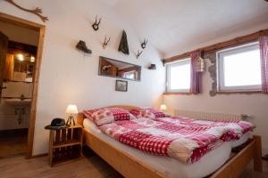 Almhaus Dachsteinblick am Feuerkogel