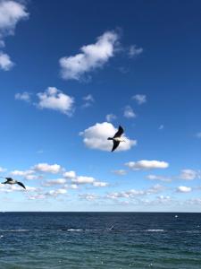 Французский бульвар Довженко