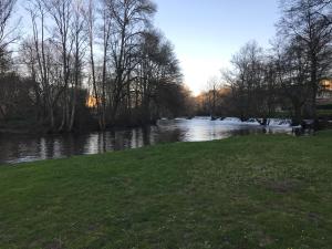 APARTAMENTO MANUEL MARIA