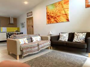 The Grape and Olive at Willunga