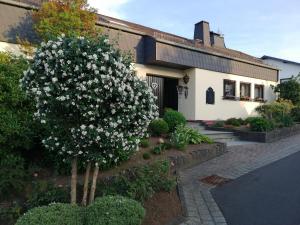 Ferienwohnungen Blum