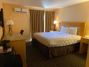 The Lemon Tree Hotel