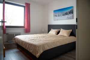 Alpina Apartments in Winterberg