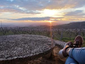 Studio au cœur de la nature