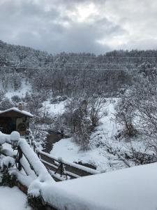 Гюмюрджински Снежник