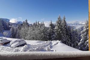 T2 Edelweiss chamrousse 1750 ski montagne alpes