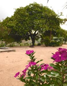 Chalé com Vista Privilegiada