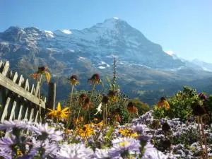 Chalet uf em Stutz 1 - Grindelwald