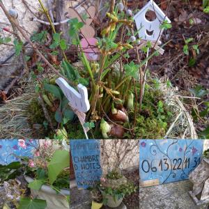 B&B / Chambres d'hotes La Combe fleurie : photos des chambres