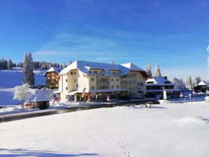 Blackforest Lounge direkt an der Skipiste, Ski in & Ski out, Skischule im Haus, Startpunkt für Wanderungen