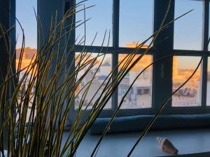 maison quiberonnaise photo 24