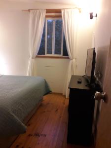 departamento valdivia