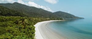 3189 Mossman Daintree Road, Daintree QLD 4873, Australia.