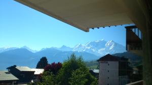 Vue Mont Blanc et toute la chaîne