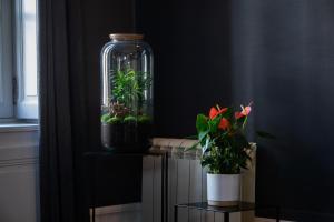 Appartements Maison Tillot : photos des chambres