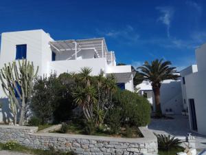 Nicos Studios & Apartments Paros Greece