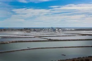 罗多马spa及海水疗养酒店 - 圣佩德罗-德尔皮纳塔尔