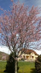 B&B / Chambres d'hotes Valley View B&B : photos des chambres