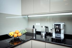 Vindobona Apartment 1