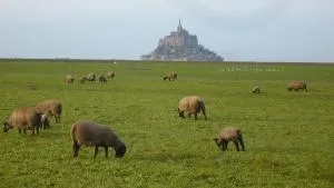 Le Clos Doux - Céaux