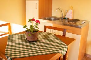 Turistična kmetija Vrezner Apartment 