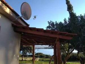 Marathi Blue 1 - 马拉希