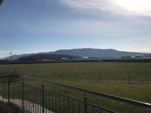 Ferienwohnung Reitanlage Winterhalder