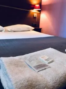 大使酒店 - 图卢兹