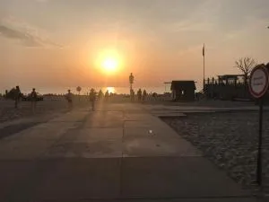 Anemoon - 圣马丁斯泽