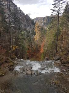 Apartment Apartment with Balcony and Parking Mariazell B&uuml;rgeralps Erlaufsea Mariazell Austria