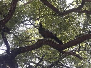 Apartamentos del Cerro