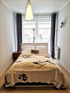 5-stars Apartments - Old Town