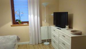 Przytulne Studio Borówkowy Zagajnik