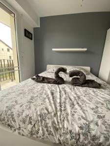 Appartements La digue 45 Rue des Lais de Mer : photos des chambres