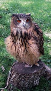 El Escondite del Miera