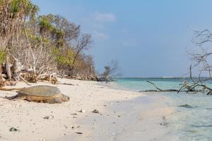 Medhufaru Island, Noonu Atoll, Republic of Maldives.